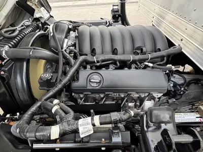 Used 2024 ISUZU NPR HD Box trucks Florida US | Truck and Van Outlet #1509183