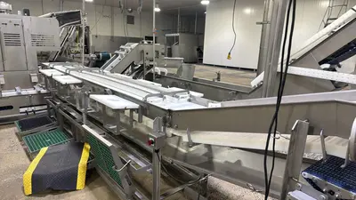 Used STAINLESS CUTTING LINE Food Processing Equipment (misc) Illinois US | M&M Equipment Corp. #1538117