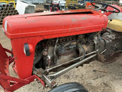 Used FERGUSON TO-35 Utility Tractors Michigan US | Miedema Asset Management Group #1327297