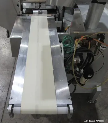 Used DELTA HAWK Flow Wrappers Illinois US | Aaron Equipment #1362973