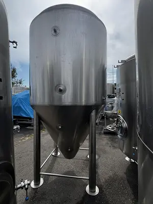 USED 2020 BSV (BLACKSTONE) 30FV