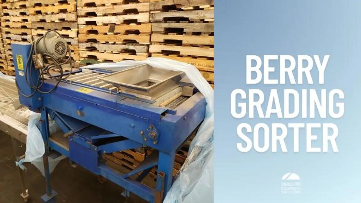 Berry Grading Sorter