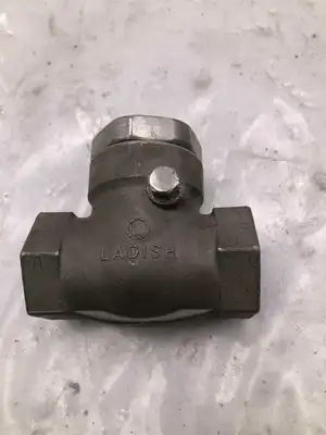 Ladish 1001-251 1″ Stainless Steel Threaded Check Valve 200PSI CF8M