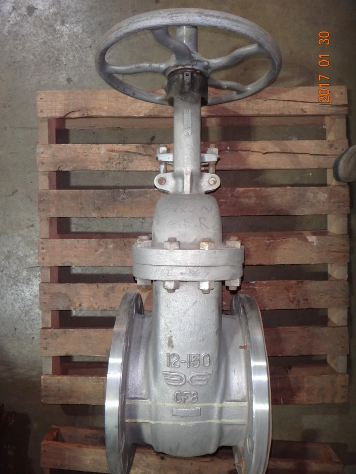 Takamisawa 12", Class 150, CF8, Gate Valve