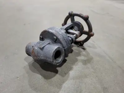 1/2" Class 800 Gate Valve B16.34
