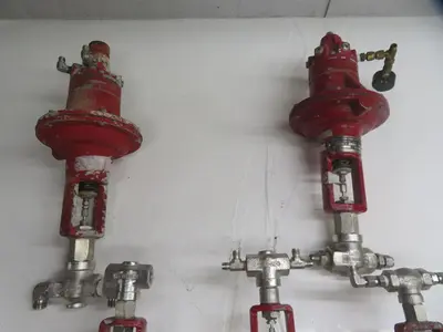 Used BADGER METER 1002GCN36CV0PBLN36 Valves/Fittings Texas US | Aucto #1307049
