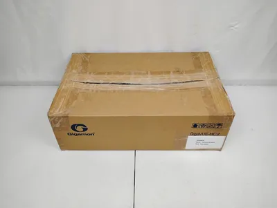 USED Gigamon TAP-HC0-G100C0 GigaTAP