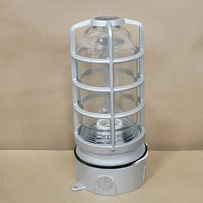 NEW RAB DVAKS100CG