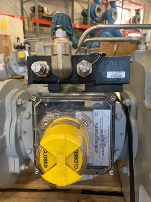 USED Flowserve Mc Canna 6.00 Z601 H4-M-H4/M06-CM10272