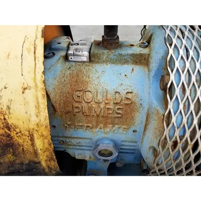 NEW GOULDS 3196
