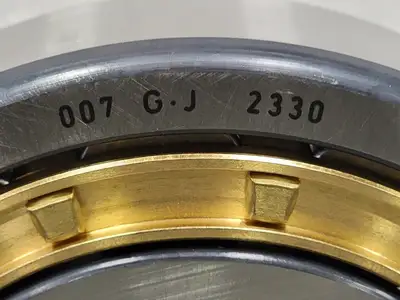 NEW FAG NU315E.M1.C3