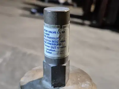 3" Pressure Regulator Valve Fig #33X