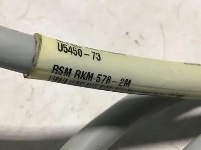 USED TURCK ELEKTRONIK RSM RKM578-2M