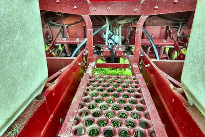 Used 1984 INTERNATIONAL 800 CYCLO AIR PLANTER Planters Michigan US | Proxy Equipment #1385117