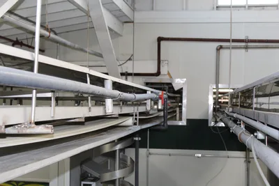 Takeaway Belt Conveyor
