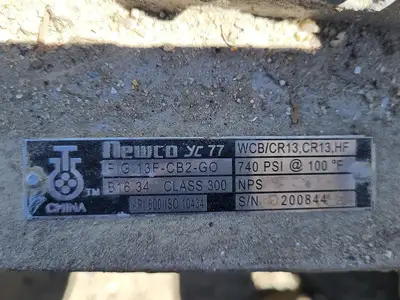 NEW NEWCO 13F-CB2-G0