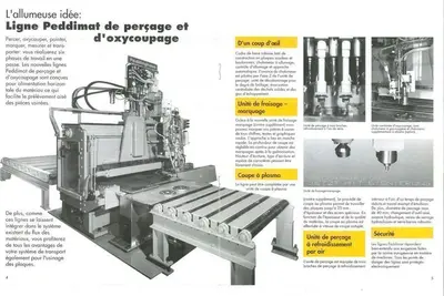 USED PEDDINGHAUS DRILLING & CUTTING SYSTEM FDB 1000-3