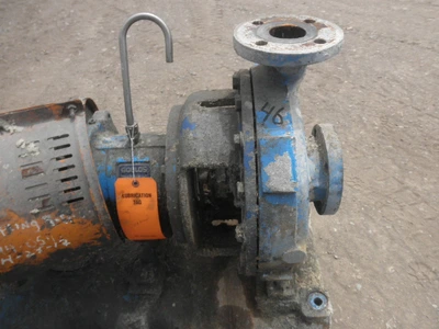 USED GOULDS 3196