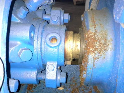 USED Goulds 3175