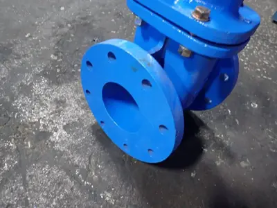 Gate Valve