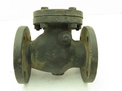 Stockham 2-1/2" Steel Flanged Swing Check Valve 125S 200 WOG