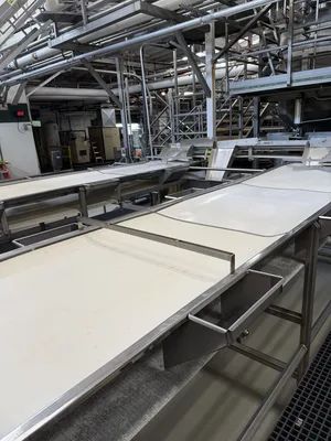 Belt Sorting Conveyor 2