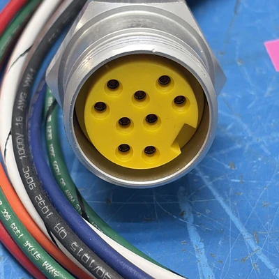 Lumberg Automation RKF 901M-623/3F Single Ended Cordset 500000701 NNB