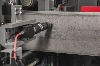NEW VOORTMAN V704