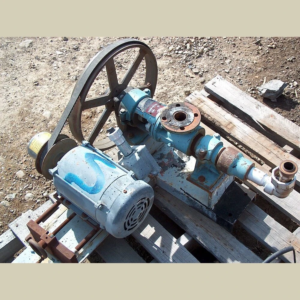 Robins-Myers Positive Displacement Pump