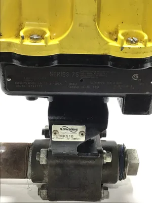 USED FLOWSERVE 15 75 Z 120A