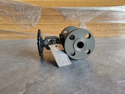 3/4" Class 150 Gate Valve B16.34