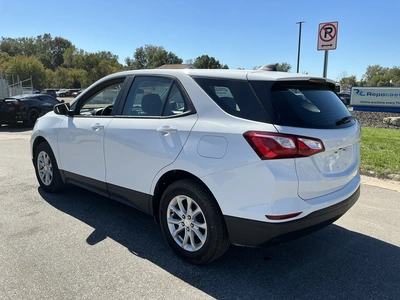 Used 2021 CHEVROLET EQUINOX SUVs Michigan US | Miedema Asset Management Group #1484134