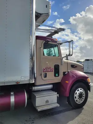 USED 2007 PETERBILT 335