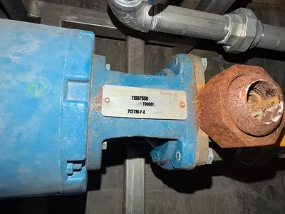 USED 2019 LATTNER WLF