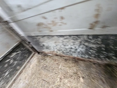 TITAN CATTLE/ LIVESTOCK TRAILER Trailer | Iron Listing (29)