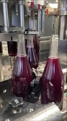 Filling Line, Bottles, 2017 Mobile Bottling Truck, 12-head #4585352