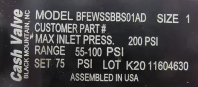 NEW CASH VALVE BFEWSSBBS01AD PRESSURE REDUCING VALVE 1" 55-100PSI SET 75PSI