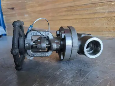 3/4" Class 800 Gate Valve API 602