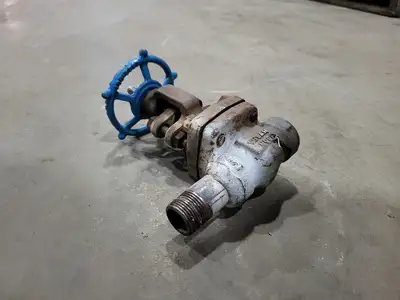 3/4" Class 800 Gate Valve B16.34