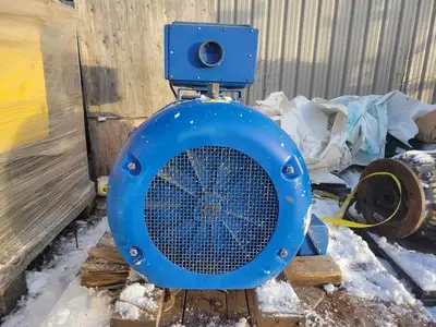 250 hp, 4000 volts, 713 rpm, D509Z AC Induction Motor