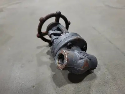 1/2" Class 800 Gate Valve B16.34