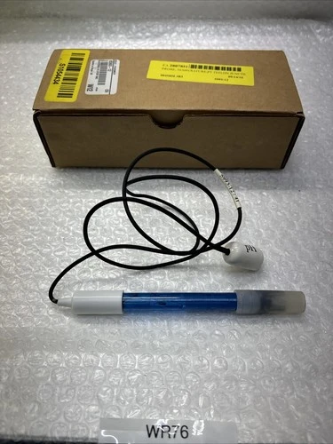 NEW Cole Palmer 5993-12