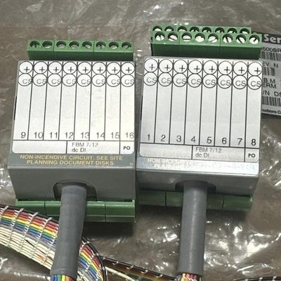 NEW Foxboro P0500SR