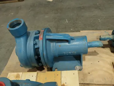 LOT OF 5 TURBINE PUMPS, BURKS, ROTH