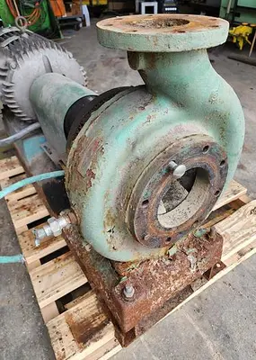 USED GOULDS 3196