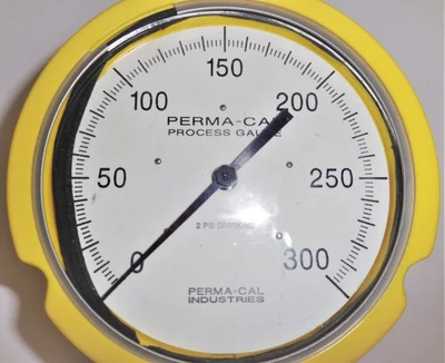 Perma-Cal RJ Gobal 121TID07Y23 TW1.5A-0016 Pressure Gauge w/Diaphragm, 0-300 PSI [New]