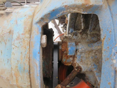 USED Goulds 3175