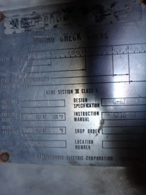 Westinghouse 14" 600 lb 316 SS Check Valve