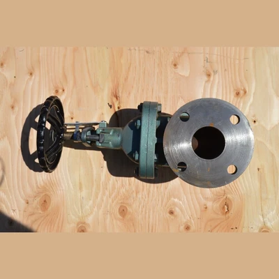 Red White 2.5 in. Gate Valves