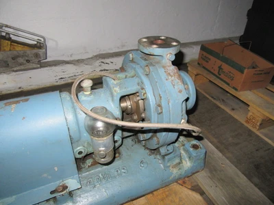 USED Goulds 3196
